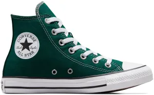 Converse Chuck Taylor All Star Hi Top Dragon Scale